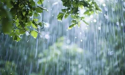 টানা ৫ দিন বৃষ্টি হতে পারে